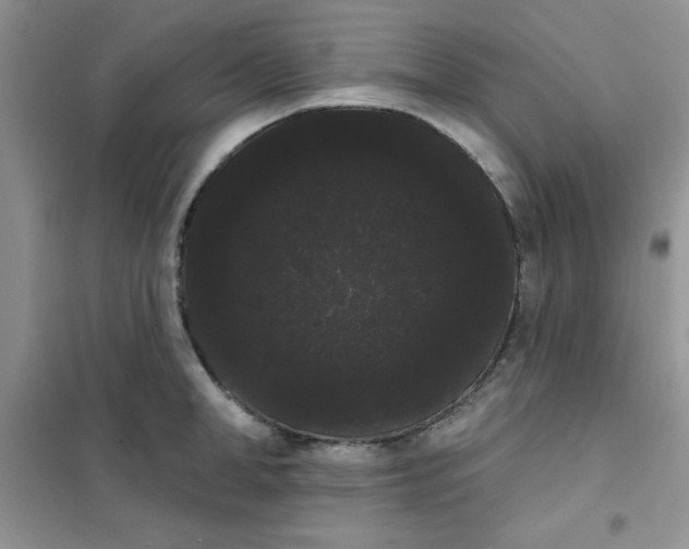 X0000101980998200808011055