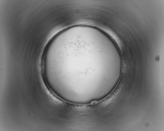 X0000101980999200808011055