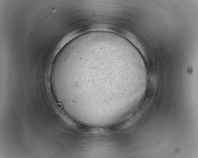 X0000101981002200808011055