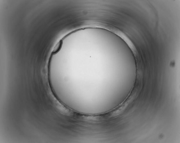 X0000101981004200808011055