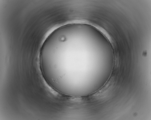 X0000101981006200808011055