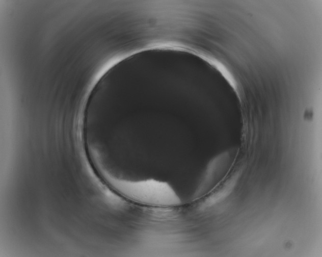 X0000101981007200808011055