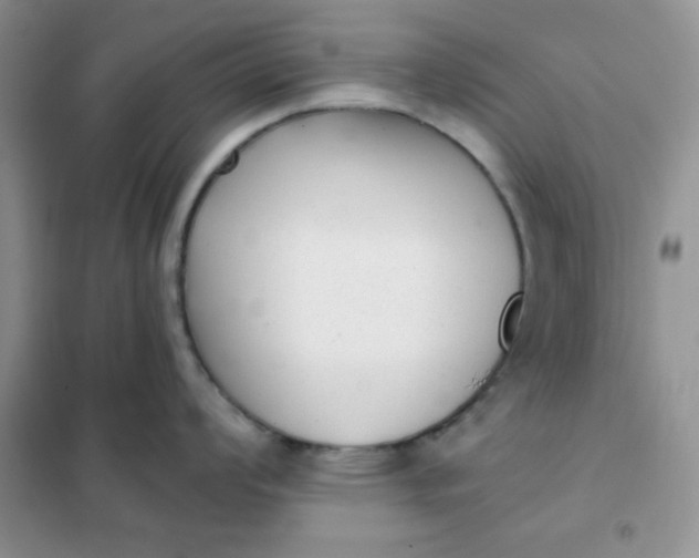 X0000101981008200808011055