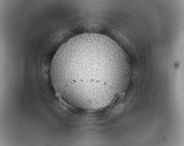 X0000101981010200808011054