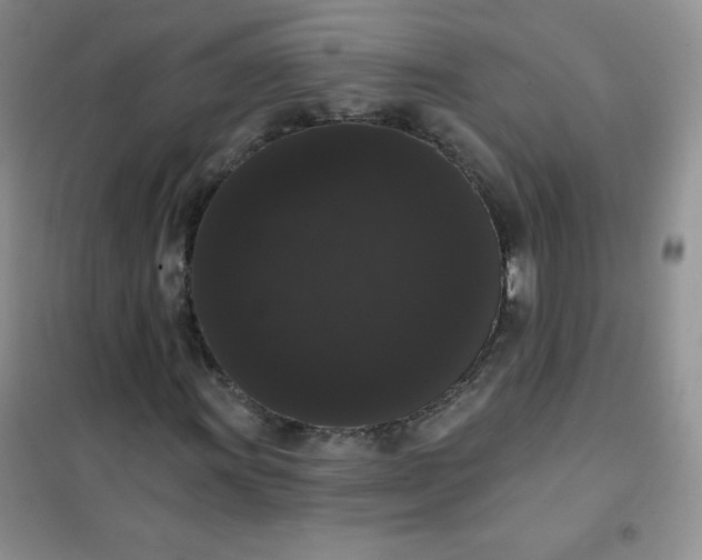 X0000101981011200808011054