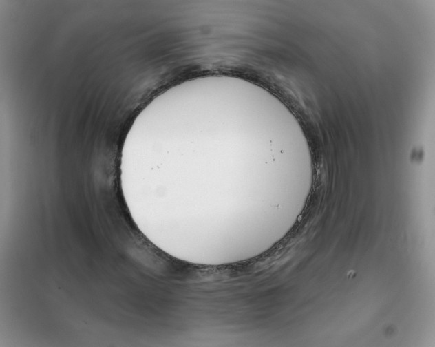 X0000101981012200808011054