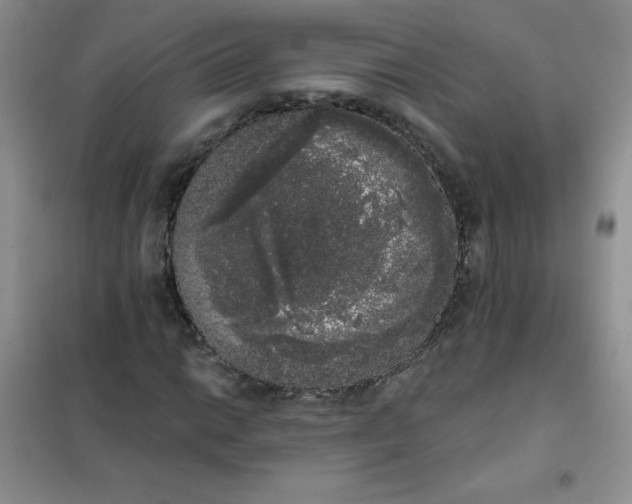 X0000101981014200808011054