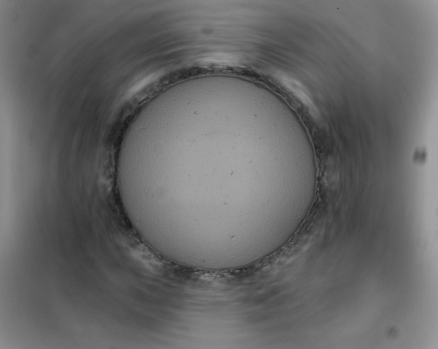 X0000101981015200808011054