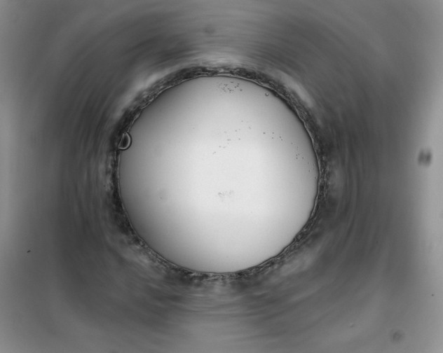 X0000101981016200808011054