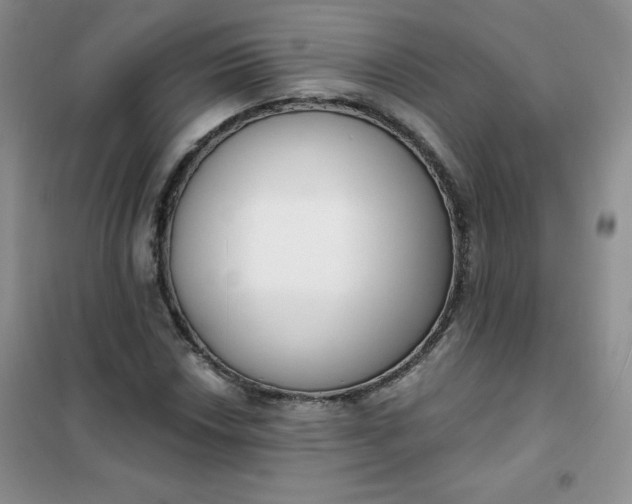 X0000101981018200808011054