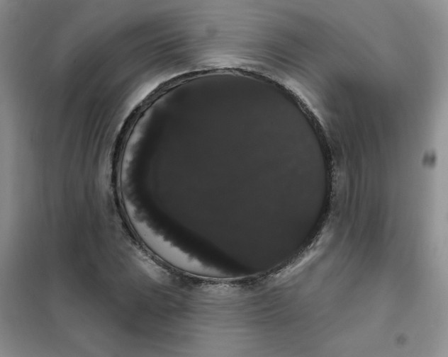 X0000101981023200808011055