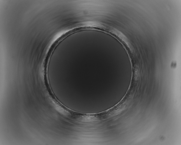 X0000101981024200808011055