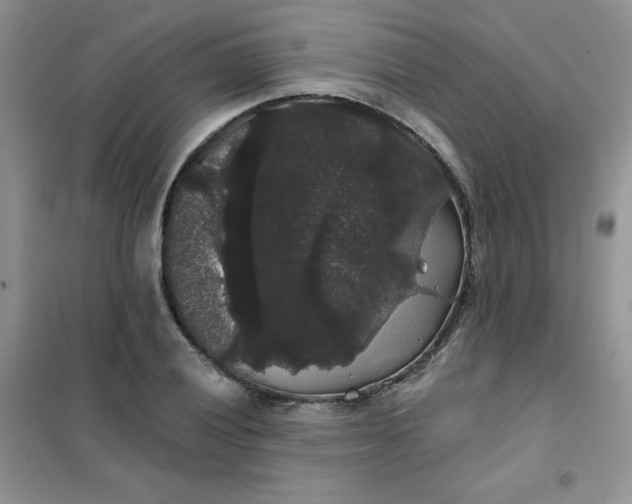 X0000101981028200808011055