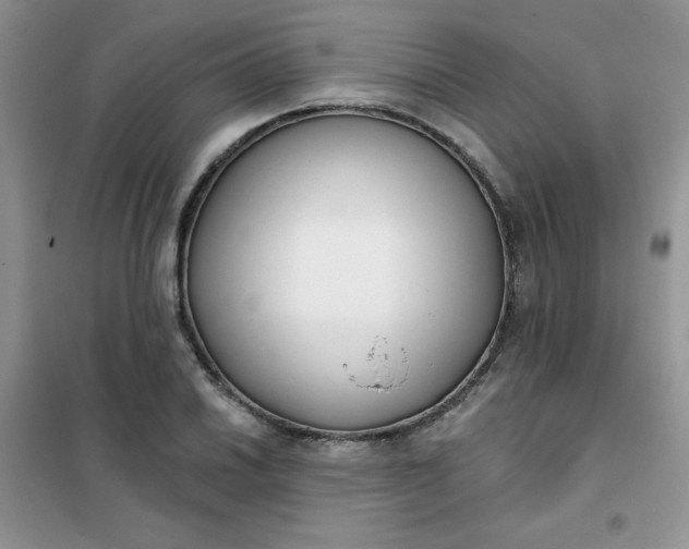 X0000101981030200808011055