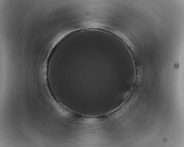 X0000101981031200808011055