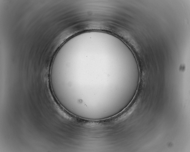 X0000101981033200808011055