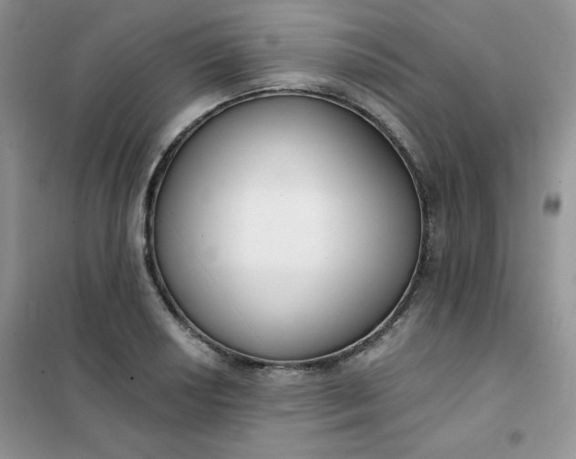 X0000101981034200808011055