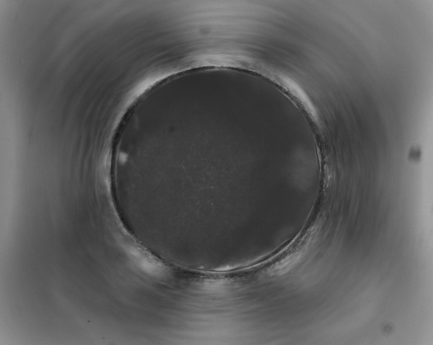 X0000101981035200808011055