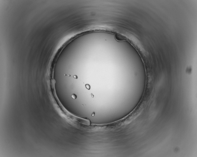 X0000101981038200808011055