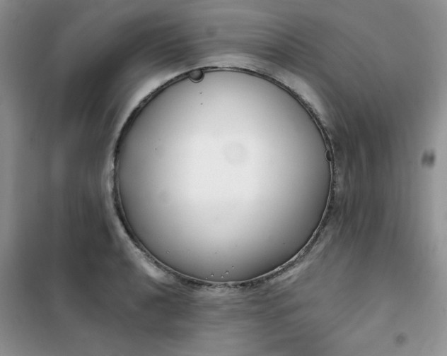 X0000101981040200808011055