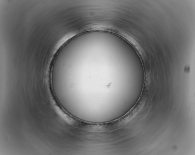 X0000101981042200808011055