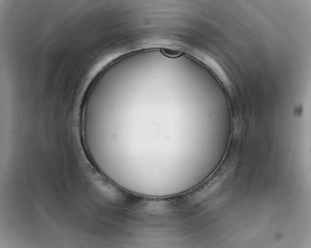 X0000101981043200808011055