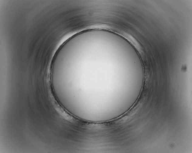 X0000101981044200808011055