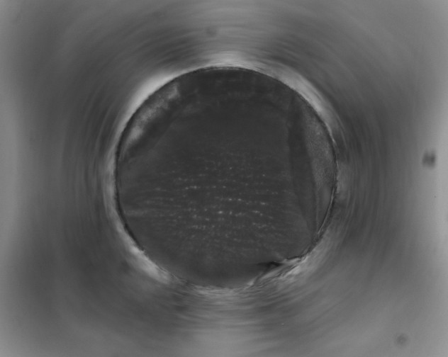 X0000101981048200808011055