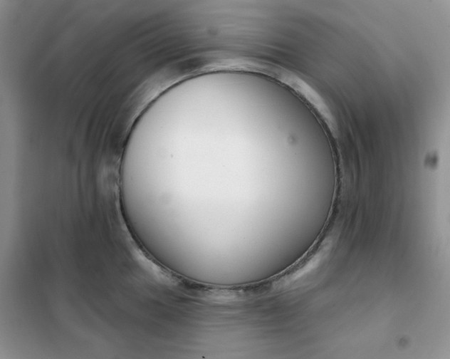 X0000101981049200808011055