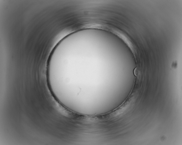 X0000101981050200808011055