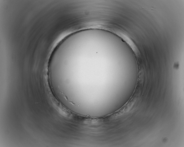 X0000101981051200808011055