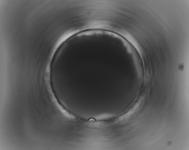 X0000101981053200808011055