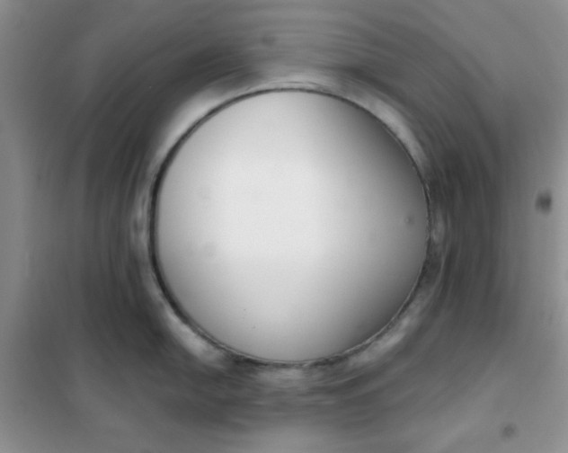 X0000101981054200808011055