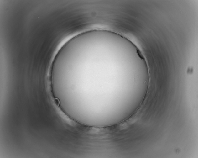 X0000101981056200808011055