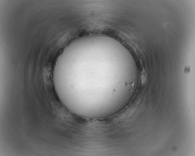 X0000101981059200808011054