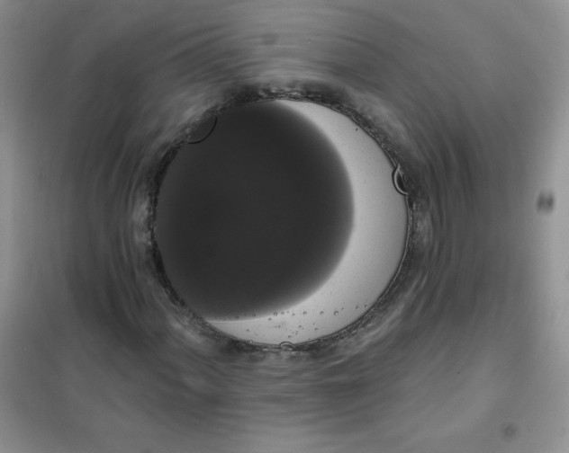 X0000101981060200808011054