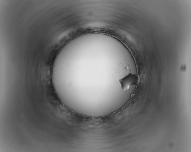 X0000101981062200808011054