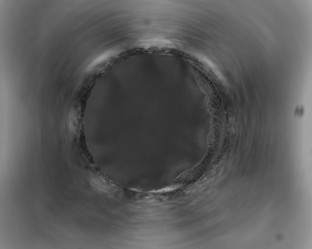 X0000101981063200808011054