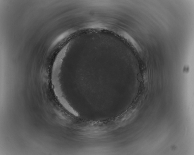 X0000101981064200808011054