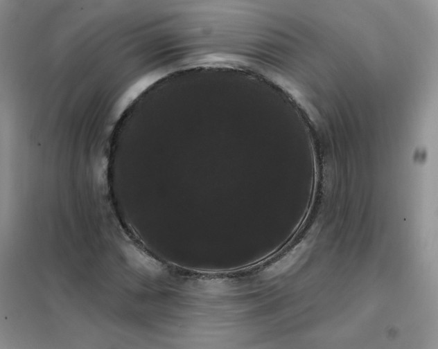 X0000101981066200808011054