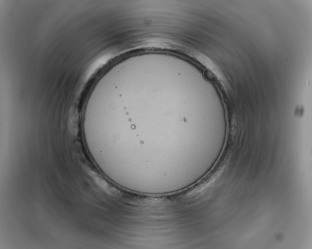 X0000101981067200808011054