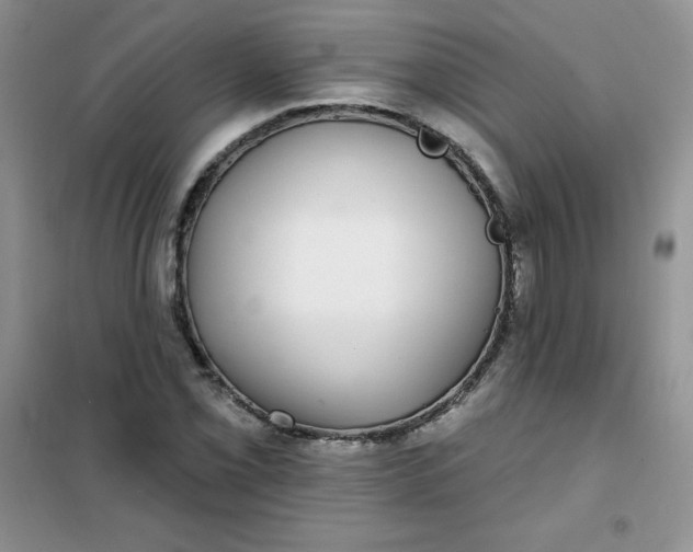 X0000101981069200808011054