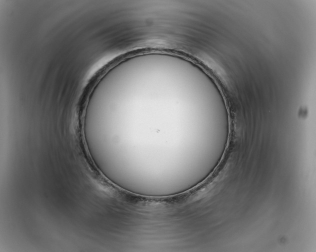 X0000101981070200808011054