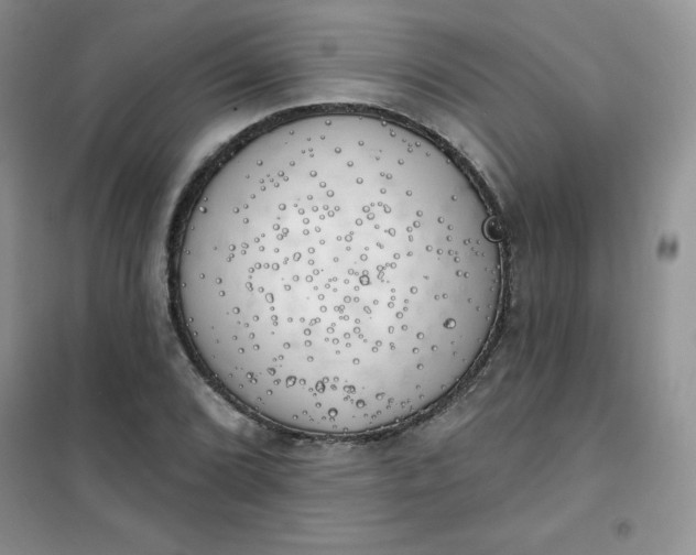 X0000101981072200808011054