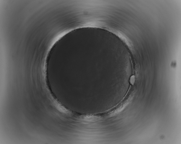 X0000101981077200808011054