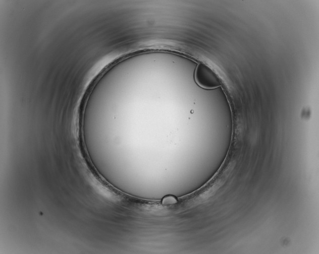 X0000101981082200808011054