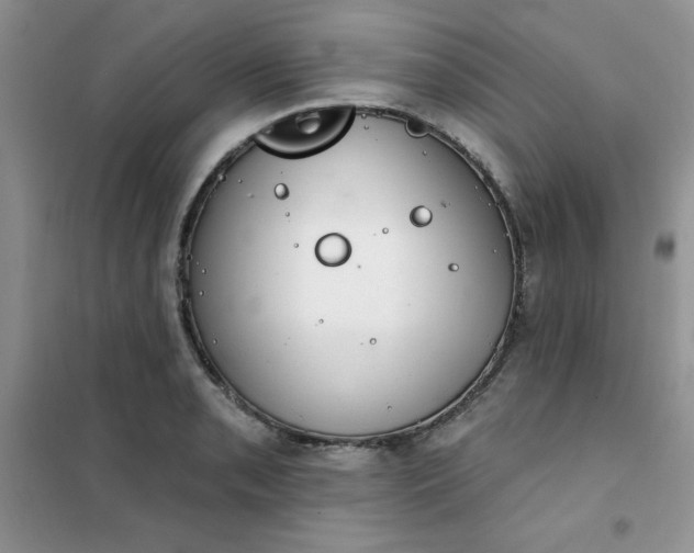 X0000101981085200808011054