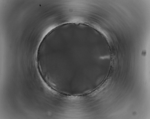 X0000101981087200808011054