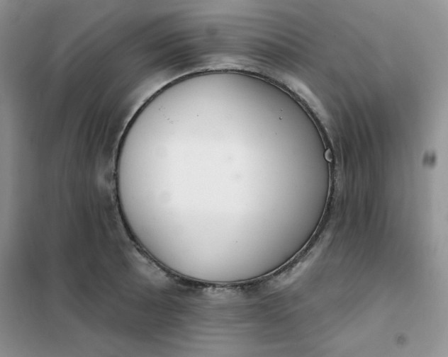 X0000101981089200808011054