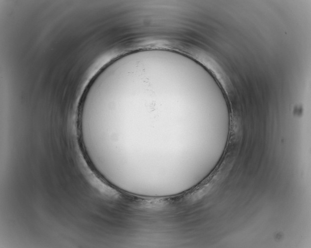 X0000101981090200808011054